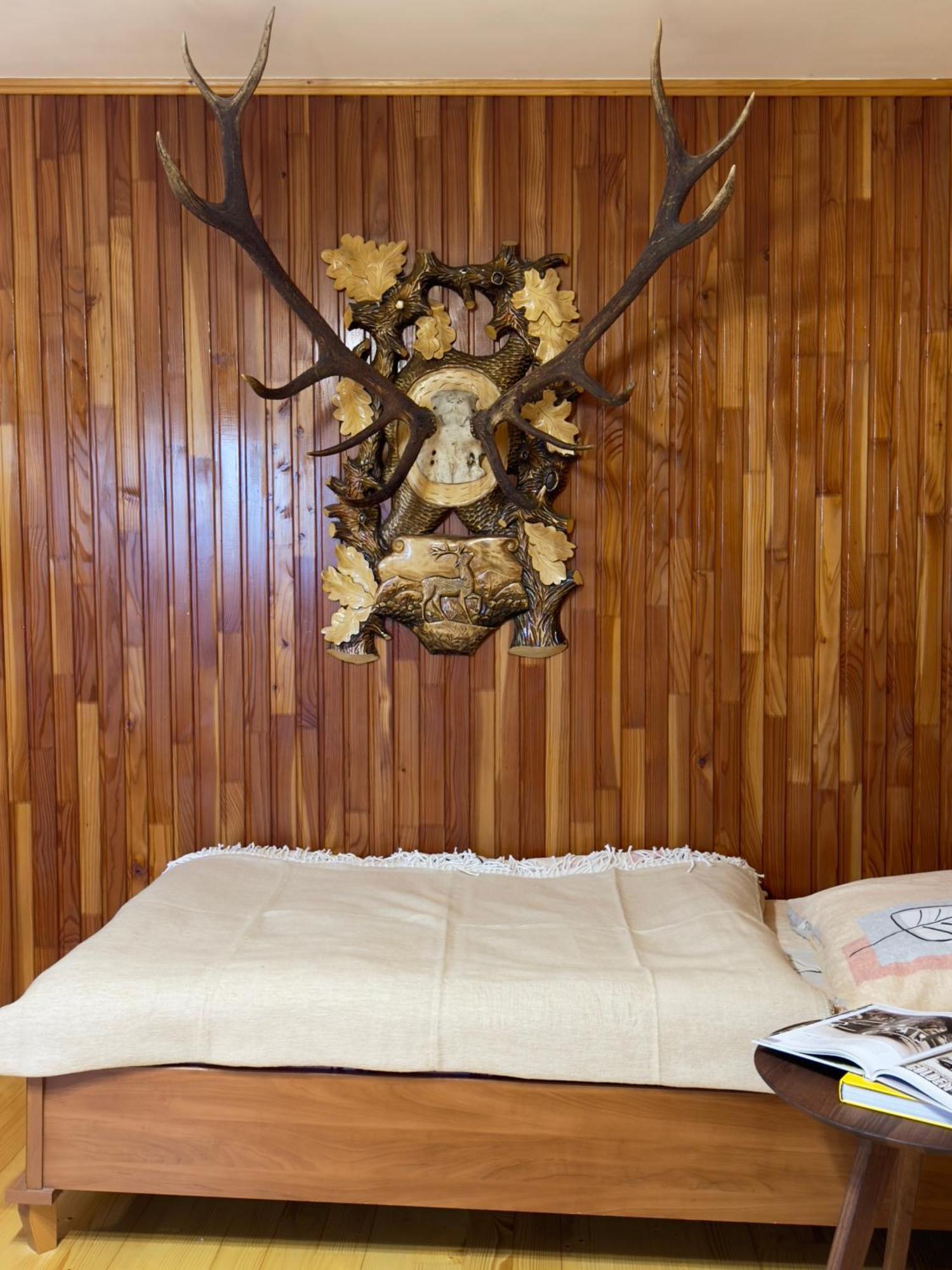 Під Боржавою Volovets Kamer foto